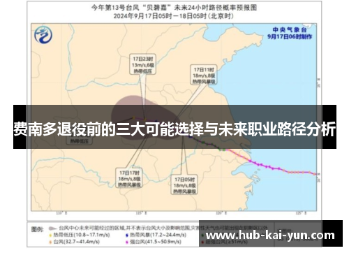费南多退役前的三大可能选择与未来职业路径分析